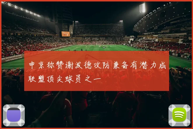 申京称赞谢泼德攻防兼备有潜力成联盟顶尖球员之一